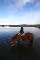 Horseback riding in Torres del Paine National Park