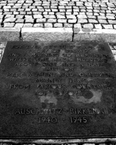 Scenes from Auschwitz II (Birkenau)