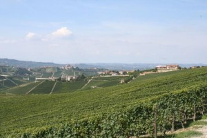 Views of the beautiful Piedmont countryside