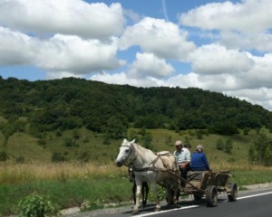 Sights on drive to Sighisoara